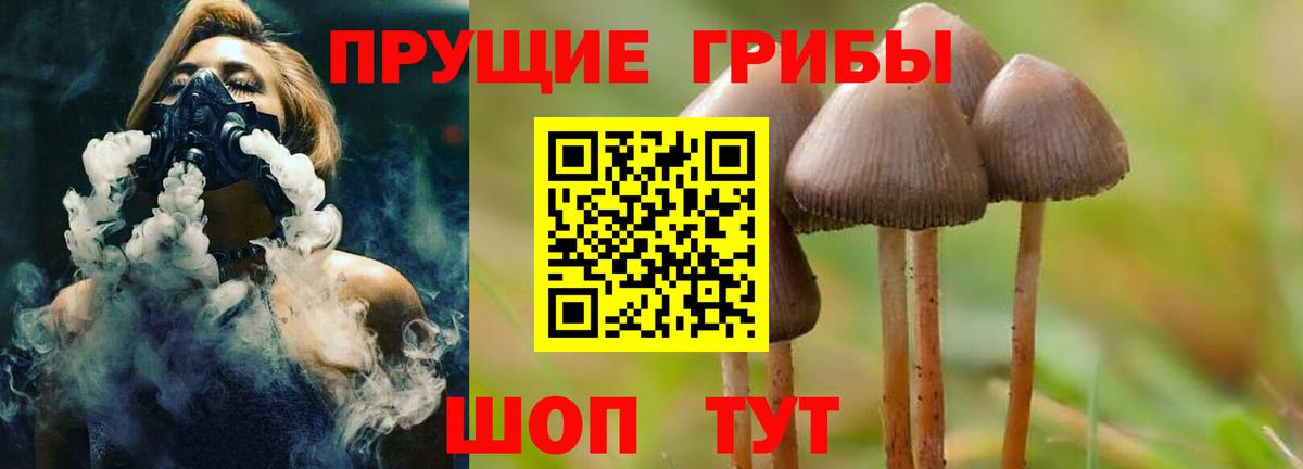 Псилоцибиновые грибы прущие грибы Артёмовский